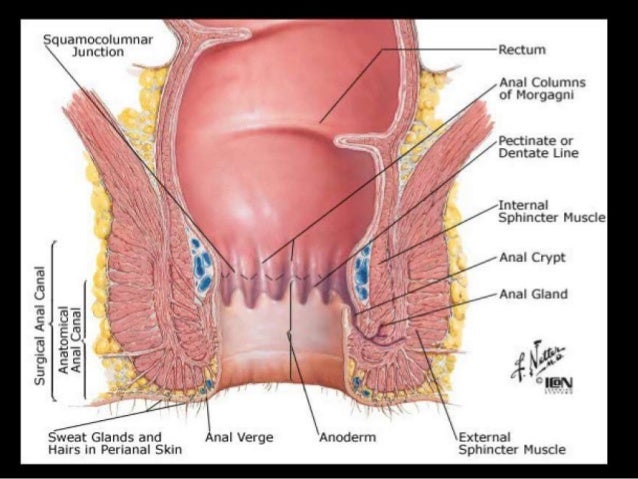PUSSY ORGASM LESSONS Cum Fiesta Jesika